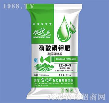 ������⛷�22-9-9