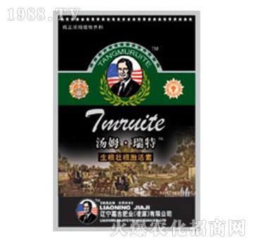 生根壯根活素-湯姆·瑞特-嘉吉