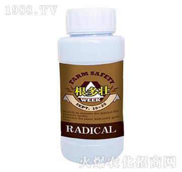 根多壯（500ml）-嘉吉