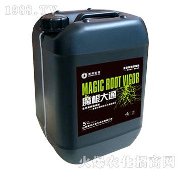 魔根大通-美邦科技