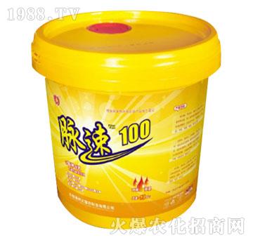 脈速100-美邦科技