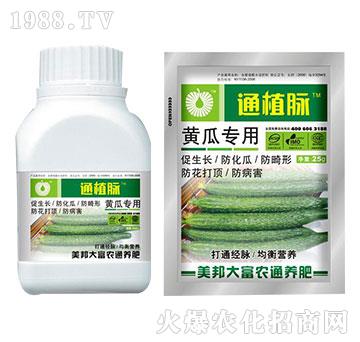 黃瓜專用肥-通植脈-美邦科技