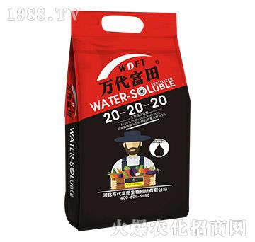 水溶肥料20-20-20-中核壹益