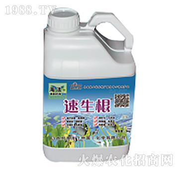 速生根-海法