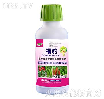 高產(chǎn)辣椒專用氨基酸水溶肥-福駝-愛農(nóng)斯達(dá)