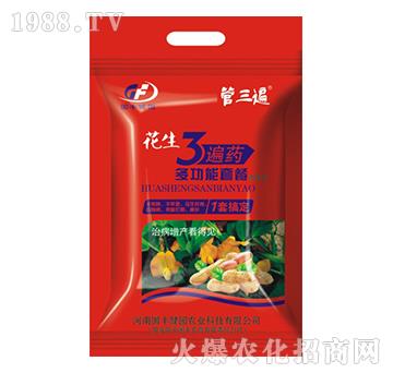花生3遍藥多功能套餐-管三遍-國(guó)豐健園