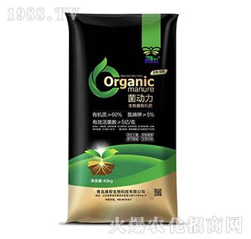 ������-չ������