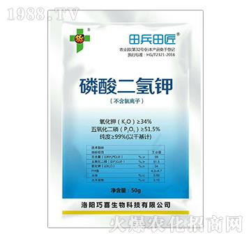 ��������-����ｳ-�����_