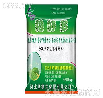 �������I�B(y��ng)Һ-���ö�-ʥ���m