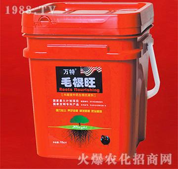 ë����-�f��-�ٺ���(sh��)�I(y��)