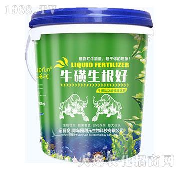 ����������-�@��Ԫ