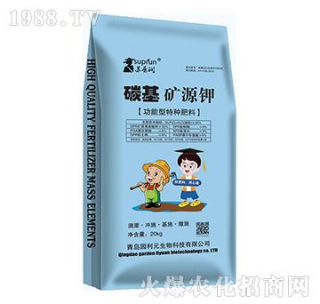 碳基礦源鉀-園利元