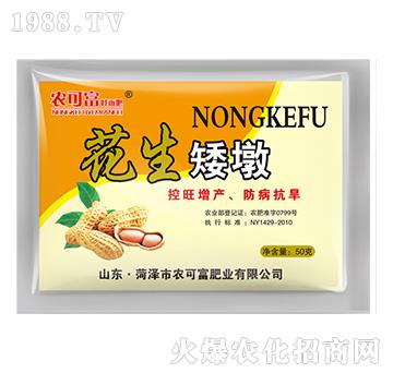 花生矮墩-農(nóng)可富