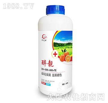 ���n30-500-600+TE-����t