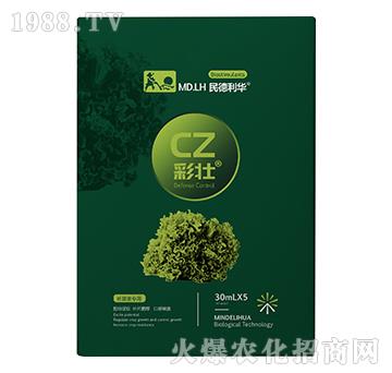 �~�ˌ�(zhu��n)��-�ʉ�-������A