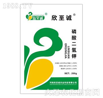 200g��������-�����\