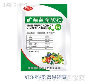 �VԴ�S�����F-�t��(l��)