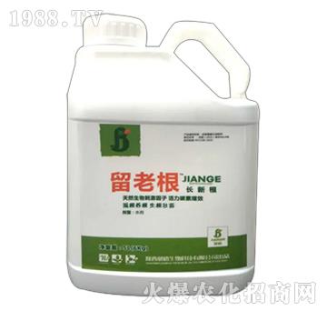 ���ϸ�-��������