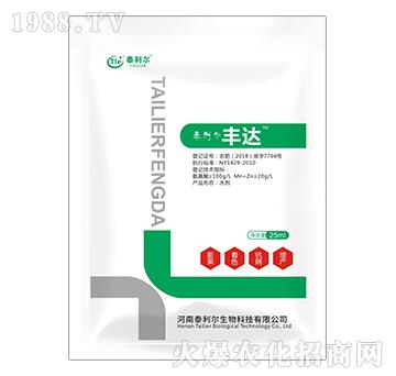 �S�_-̩����