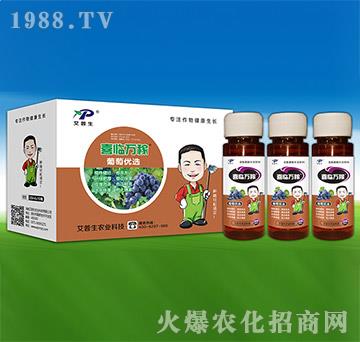 ���у�(y��u)�x-ϲ�R�f��-������