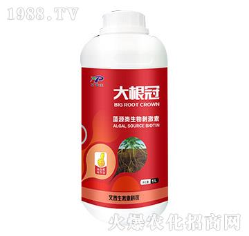 ��Դ�������-�����-������