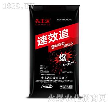 速效追-先豐達(dá)