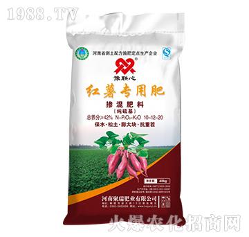 �t�팣�Ó������10-12-20-����ʘI(y��)