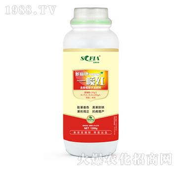 多肽鉀一噴紅水溶肥（1200g）-索菲亞