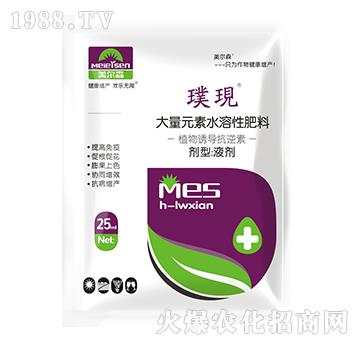 ֲ���T��������-豬F(xi��n)-����ɭ