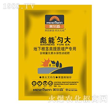 地下根莖類提質增產專用肥-彪能勻大-美爾森