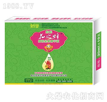 辣椒專用授粉坐果精華液-花之蜂-美爾森