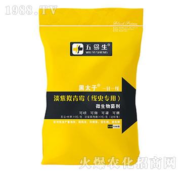 ���x(ch��ng)��(zhu��n)�õ��ϔM��ù-��̫��-������