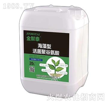 �������۹Ȱ���-��Ĭ̩-��֮�{(l��n)