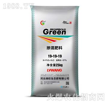 �������19-19-19-�G�S��-�G��