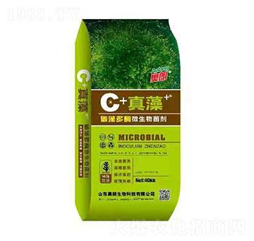 ̼���ø΢�������-����-�W������