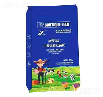 С�����������-���f��