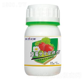 草莓分化促進劑-天農(nóng)優(yōu)果-天農(nóng)化工