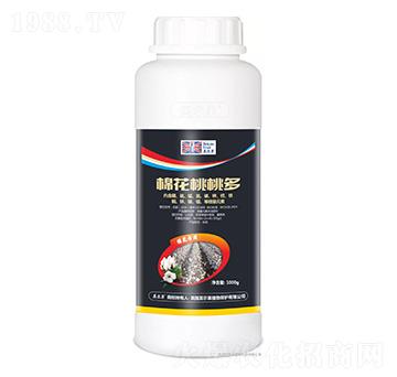 棉花桃桃多-英爾果