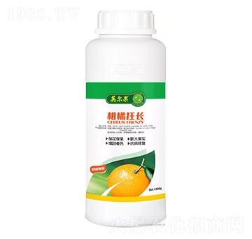 柑橘狂長-英爾果