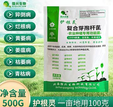 復(fù)合芽孢桿菌-護(hù)根靈-強(qiáng)興生物