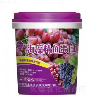 ���徫�~(y��)����-������-�����S