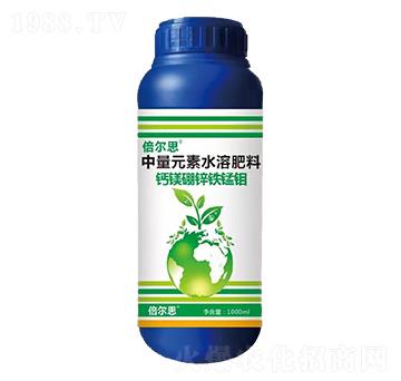 �}�V���\�F�i�f-����˼-��(y��u)�ݿ�