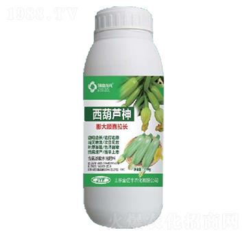 含氨基酸水溶肥-西葫蘆神膨大順直拉長(zhǎng)-金億豐