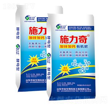 ���\���}�ЙC��-ʩ����-ԣ��߿�