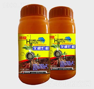 ���������~���-�ޏ�-