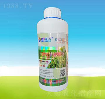 ���~��ѿ��ѿ��-�ĺ��R�r(n��ng)