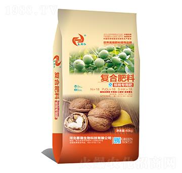 ���Ҍ��ÏͺϷ���-�����t