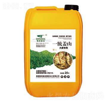 大姜專用微生物菌劑-一統(tǒng)姜山-聯(lián)邦嘉吉