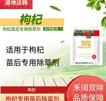 ��轳��݄�-������-��轌���-���n