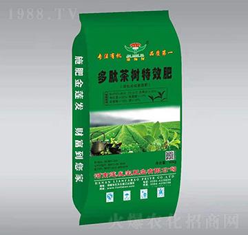 ���Ĳ��(sh��)��(zhu��n)�÷�-ɏ�l(f��)��